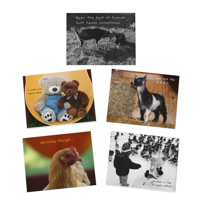 Cards for everyday life (5-Pack)