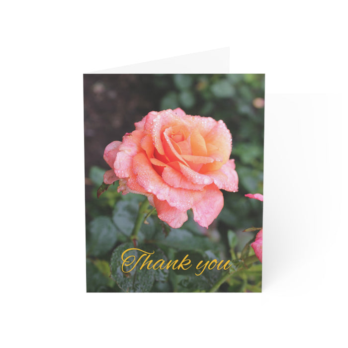 Thank you card blank inside (10, 30, and 50 pcs)